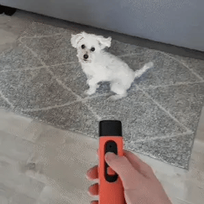 WoofAway | Anti Barking Device