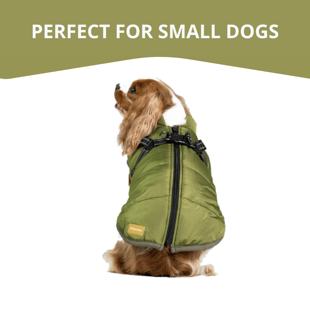 WagWear | Dog Jacket