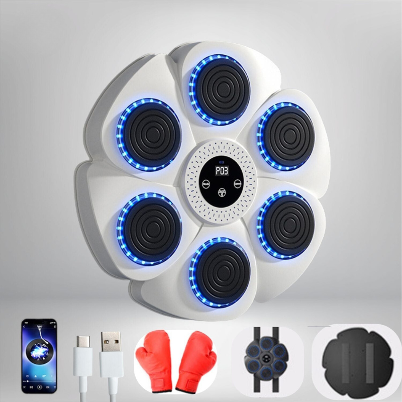 PunchPro | Smart Boxing Trainer