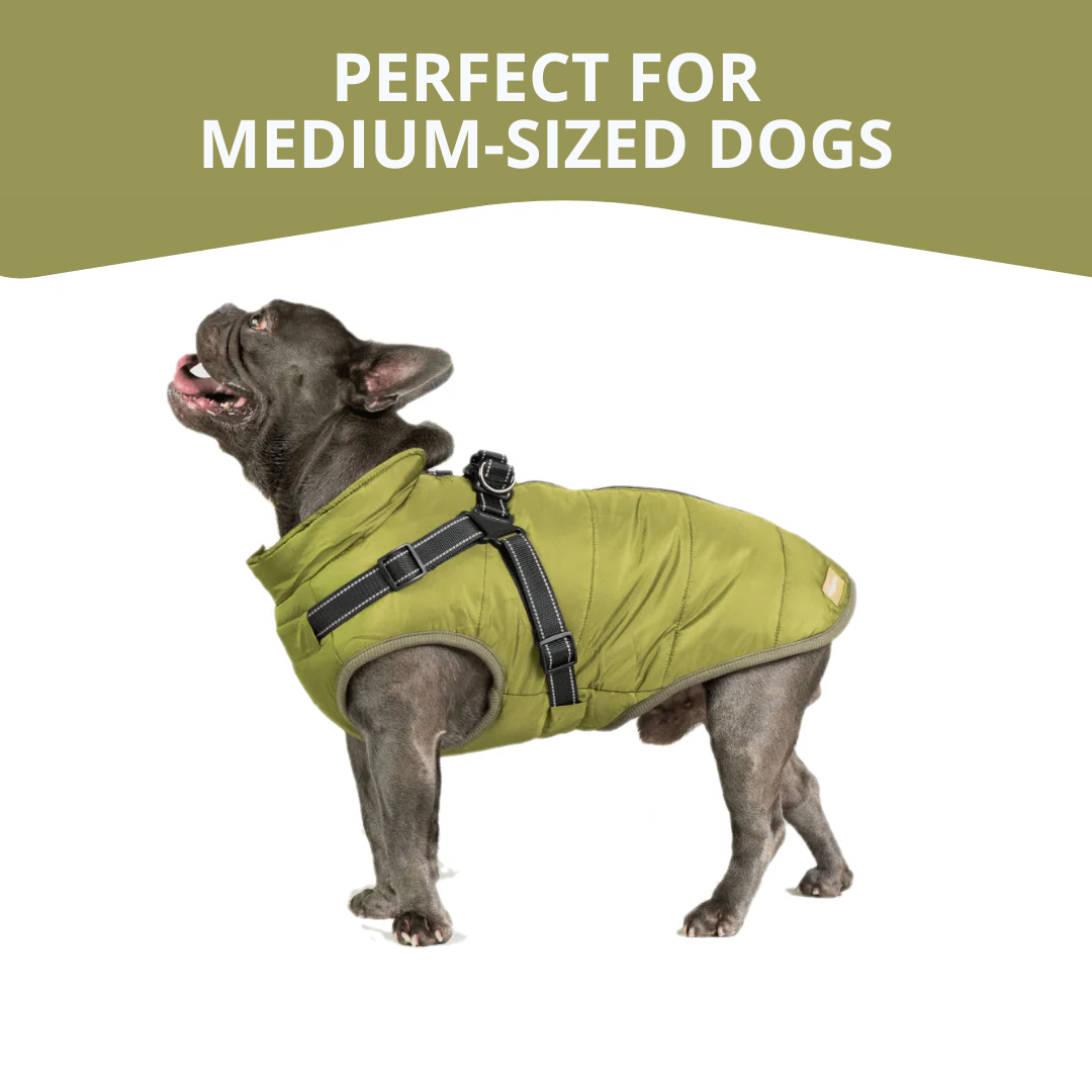 WagWear | Dog Jacket
