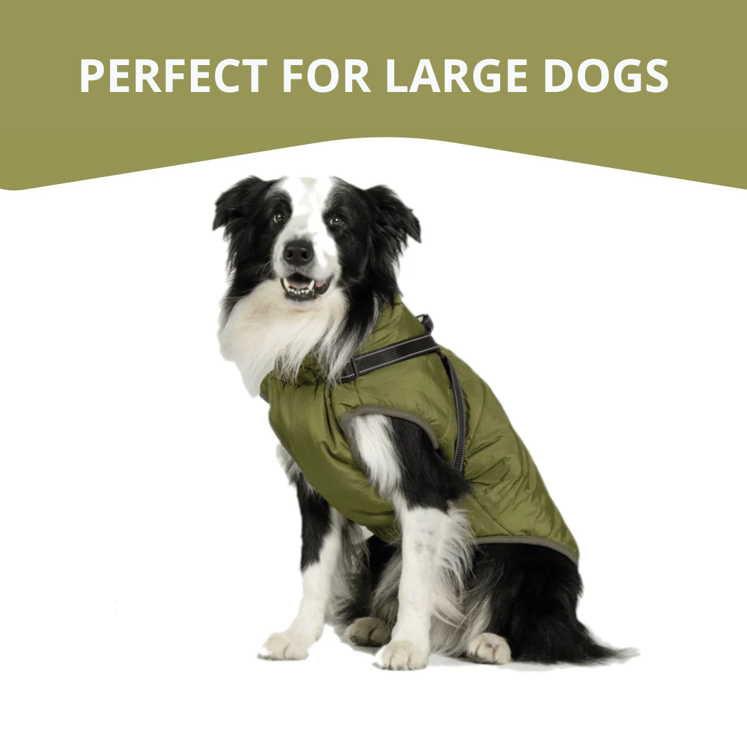 WagWear | Dog Jacket