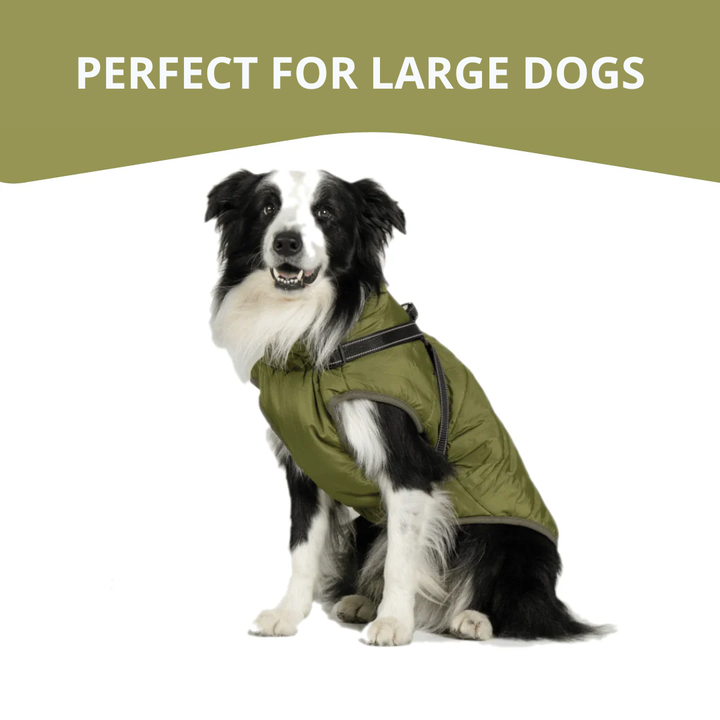 WagWear | Dog Jacket