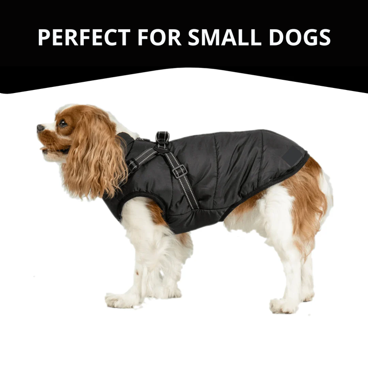 WagWear | Dog Jacket