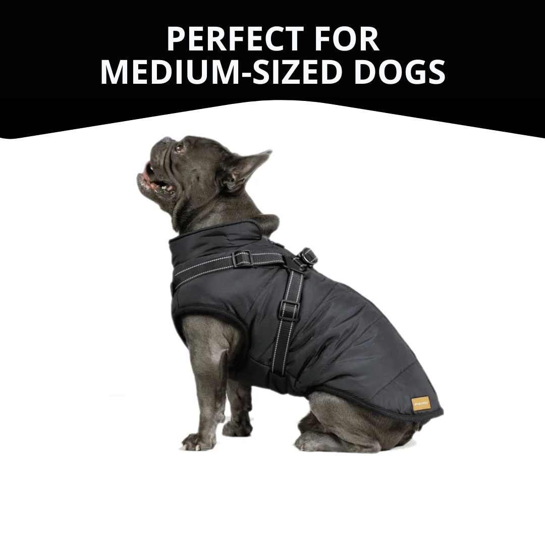 WagWear | Dog Jacket