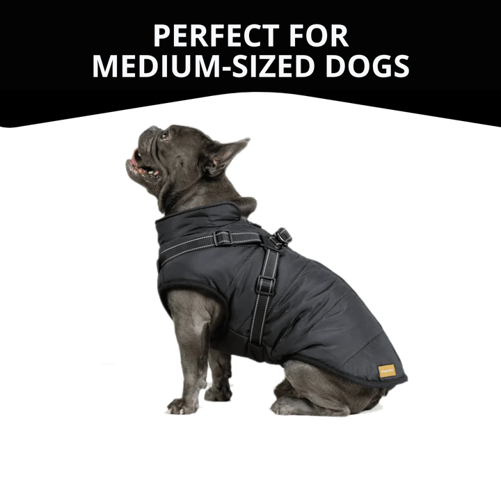 WagWear | Dog Jacket