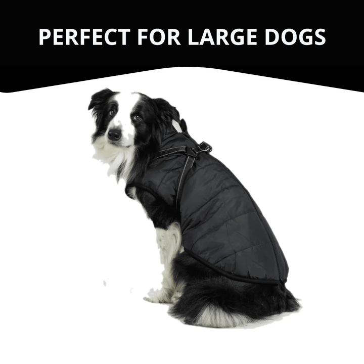 WagWear | Dog Jacket