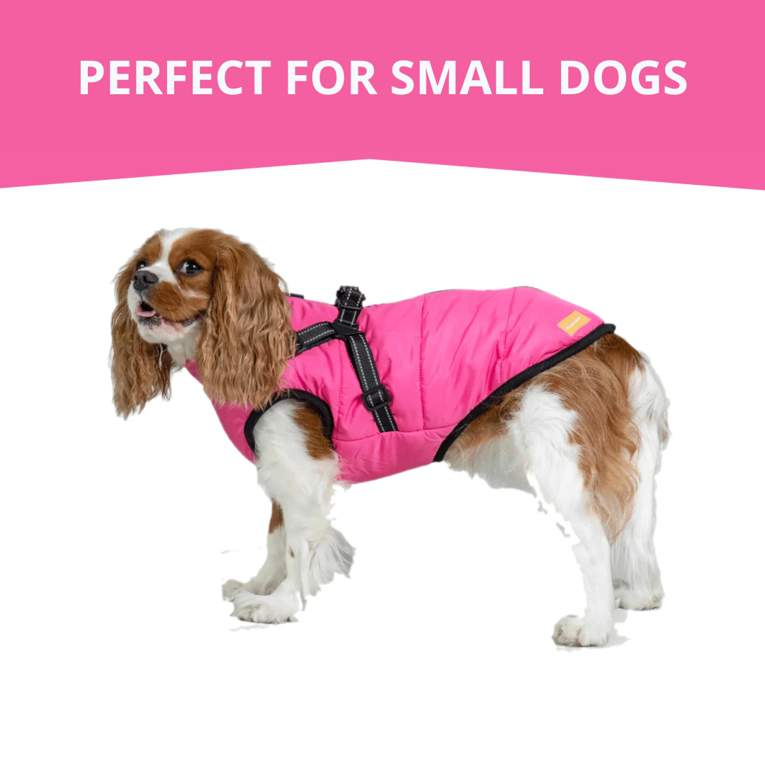 WagWear | Dog Jacket