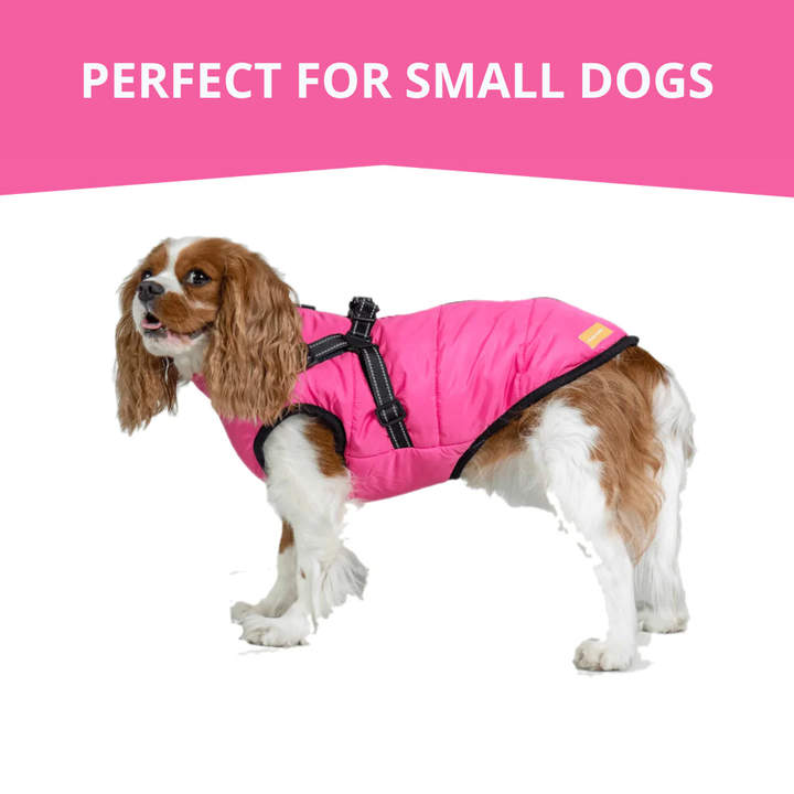 WagWear | Dog Jacket