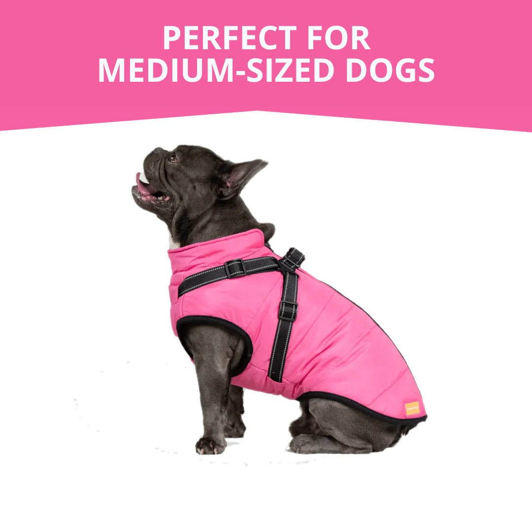 WagWear | Dog Jacket