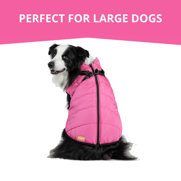 WagWear | Dog Jacket
