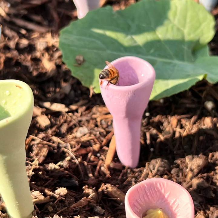 EcoHive | Durable Drinking Cups for Pollinators
