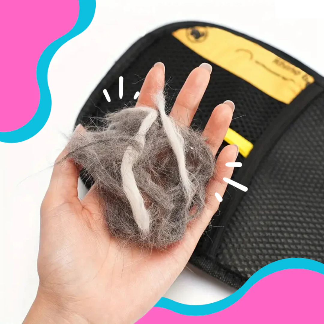 FuzzBuster | Pet Hair Remover