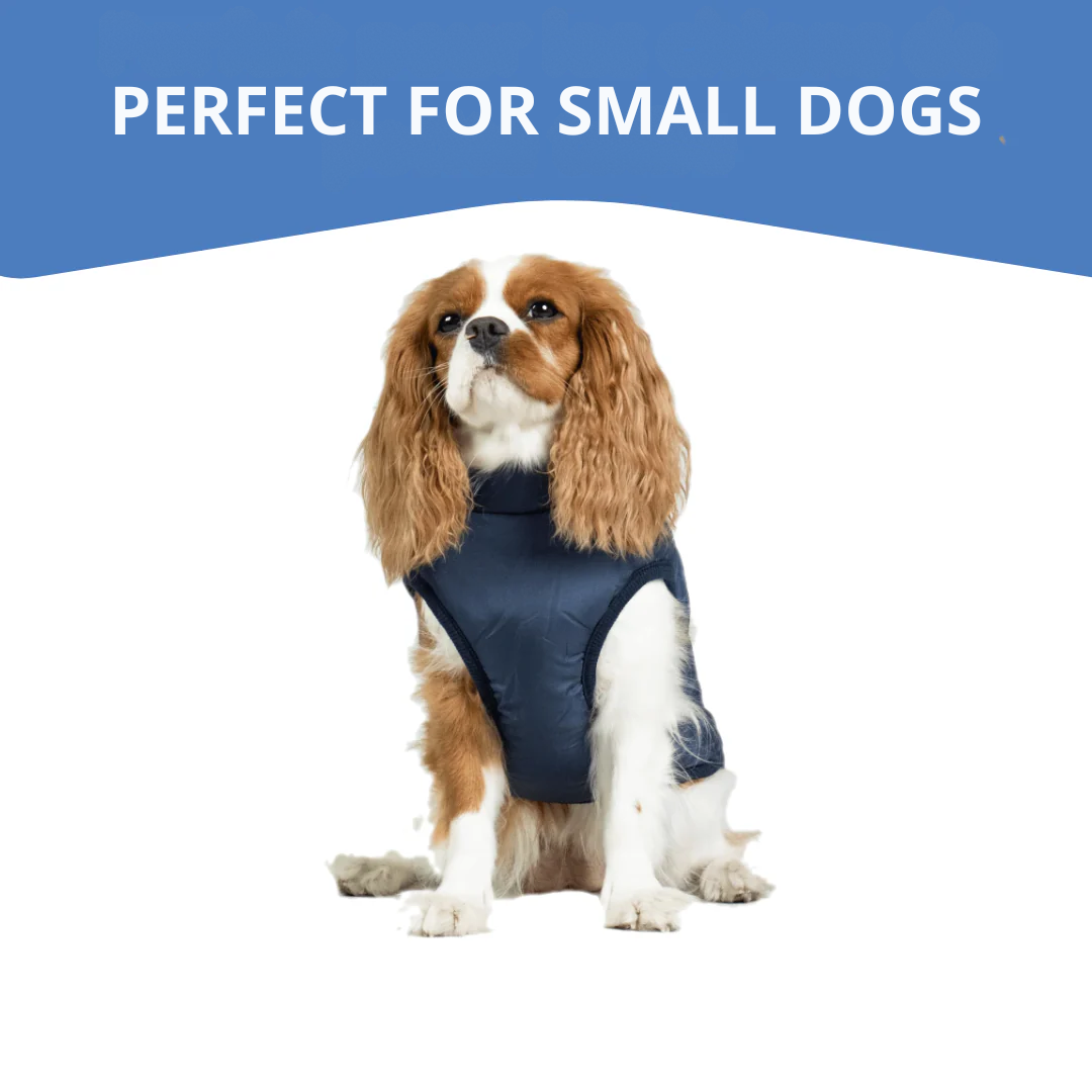 WagWear | Dog Jacket