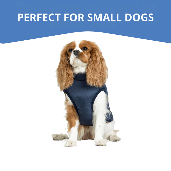 WagWear | Dog Jacket