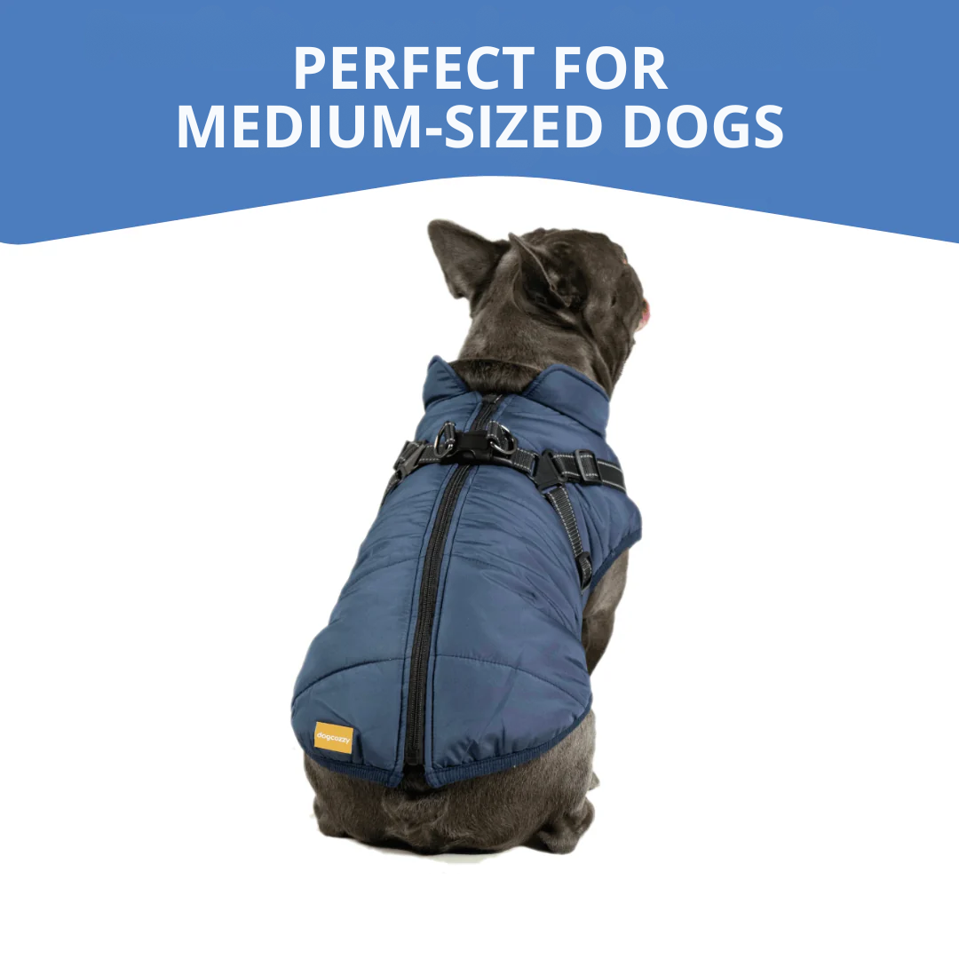 WagWear | Dog Jacket