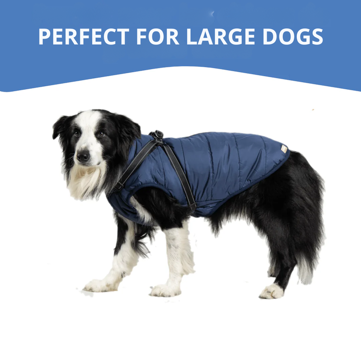 WagWear | Dog Jacket