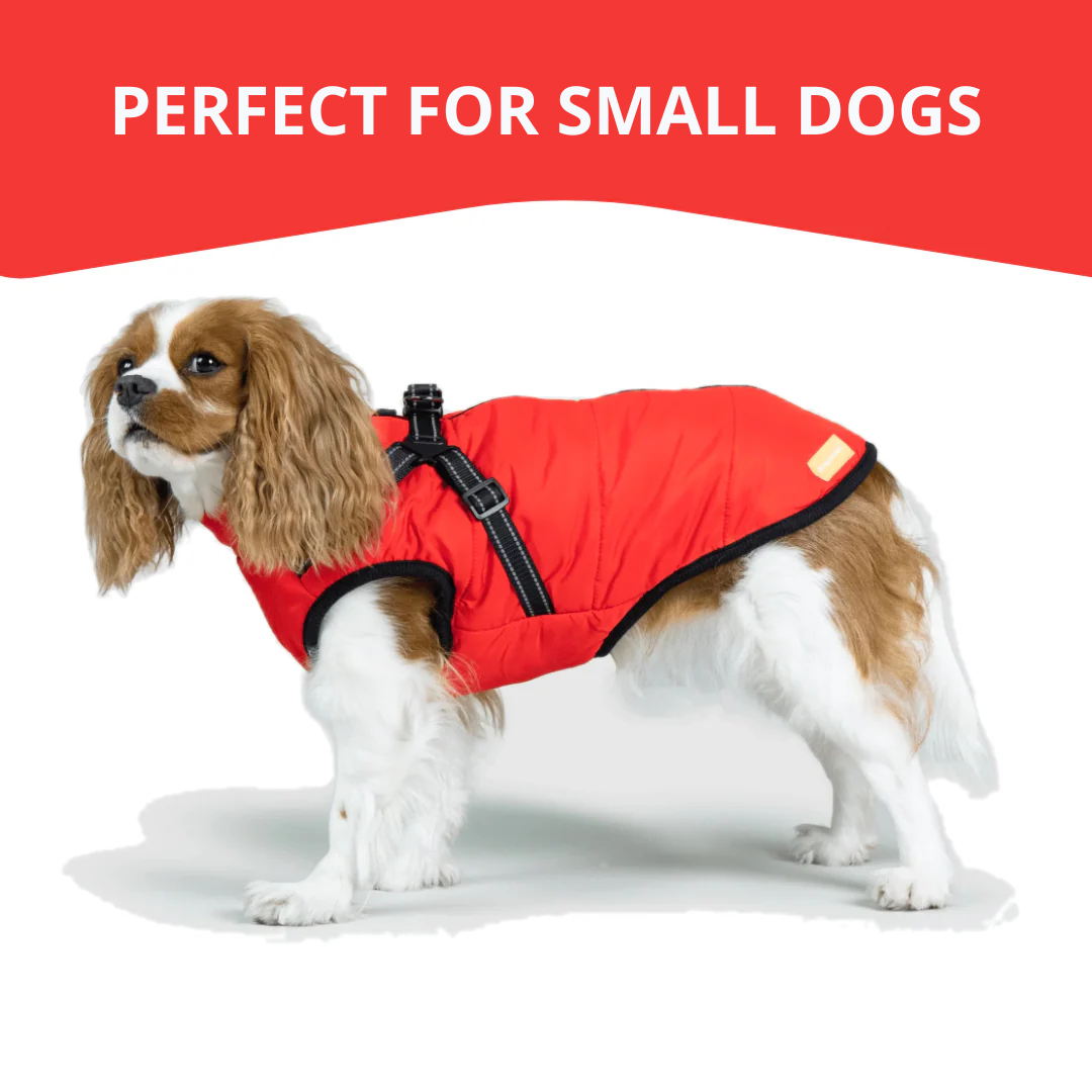 WagWear | Dog Jacket