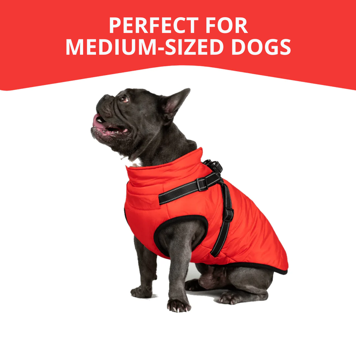 WagWear | Dog Jacket