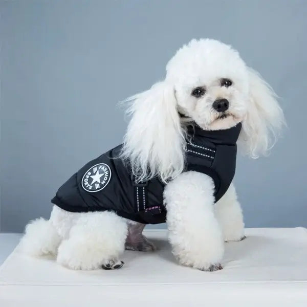 PupVest | Dog Coat with Integrated Harness