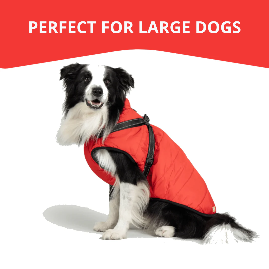 WagWear | Dog Jacket
