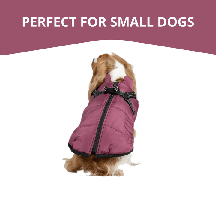 WagWear | Dog Jacket