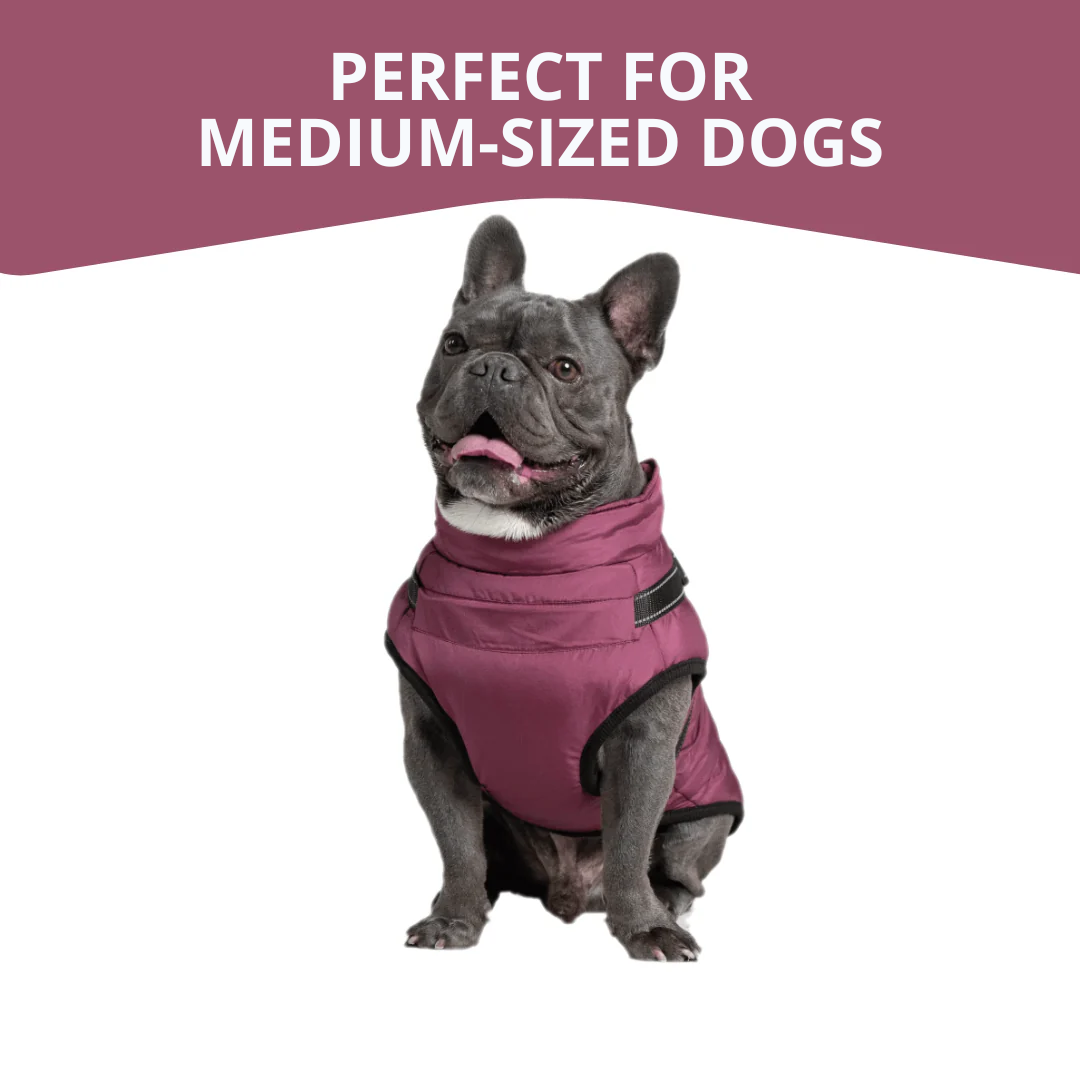WagWear | Dog Jacket