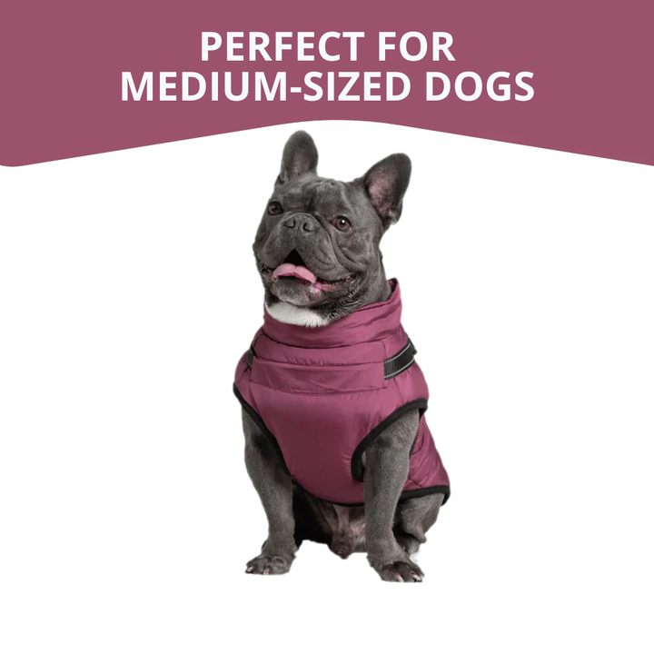 WagWear | Dog Jacket