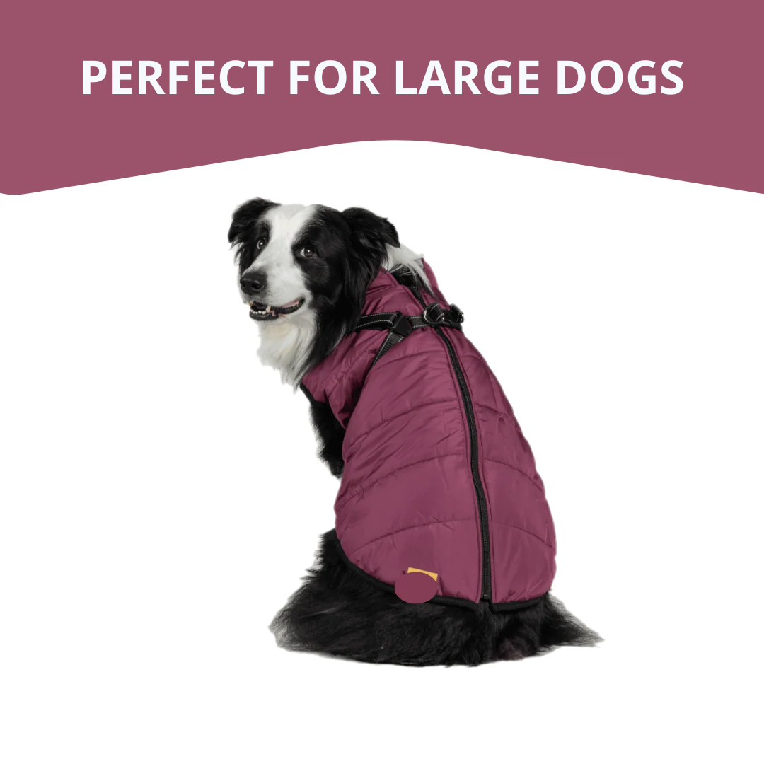 WagWear | Dog Jacket