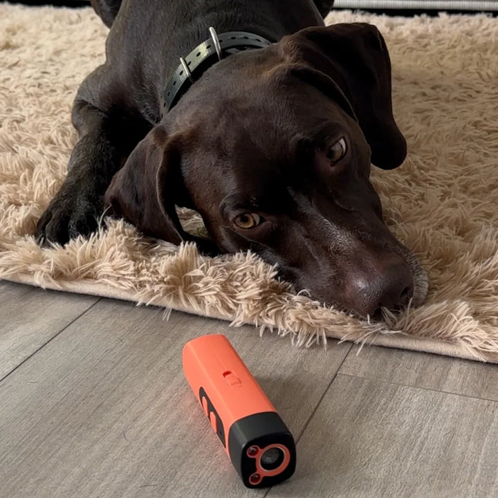 WoofAway | Anti Barking Device
