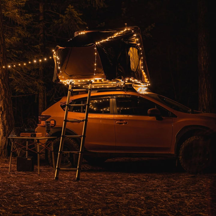 WildBind | Heavy-Duty Camping and Travel String